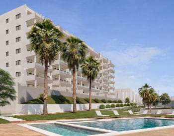 Spacious Apartments Surrounded by Nature and Amenities in San Miguel 1