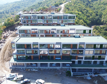 Properties with Nature and Sea Views in Termal Yalova 1