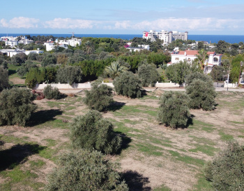 Land for Sale Suitable for Villa Instruction in Girne Ozanköy 1