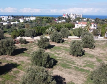 Terrain À Vendre Adapté À L'instruction D'une Villa À Girne Ozanköy 1