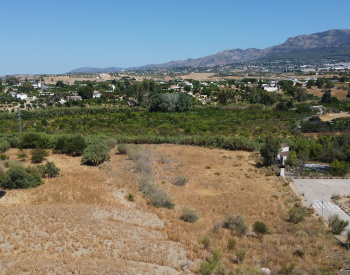 Rustic Plot for Agricultural Use in Alhaurin El Grande Malaga 0