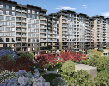 Lägenheter Med Utsikt Över Staden Och Naturen I Istanbul