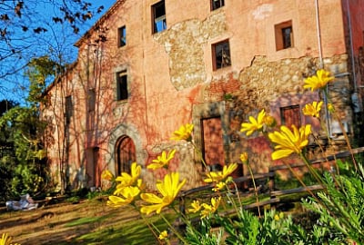 أرض للبيع في 