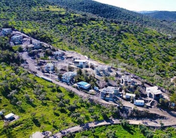 Einstöckige Steinhäuser In Grüner Umgebung In Mugla Milas 20