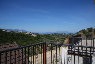 Images 24