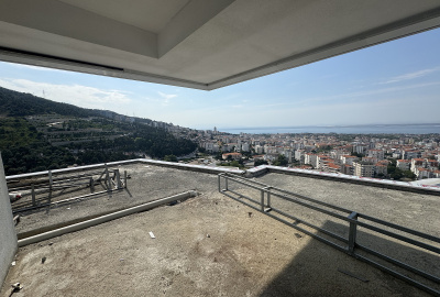 Images 24
