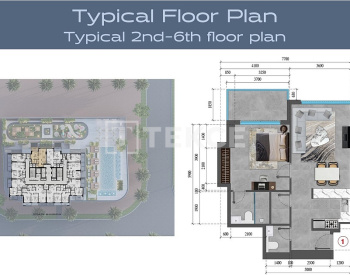 Appartements Avec Possibilité De Paiement Après Construction À Dubaï 23