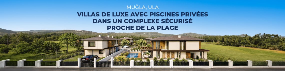 Immobilier