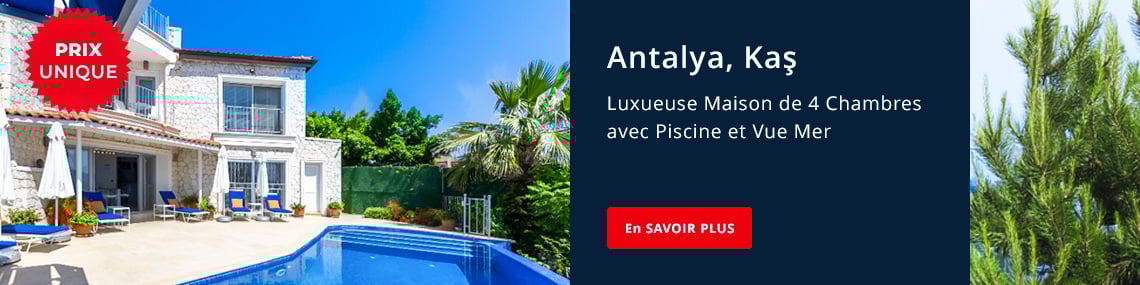 Immobilier