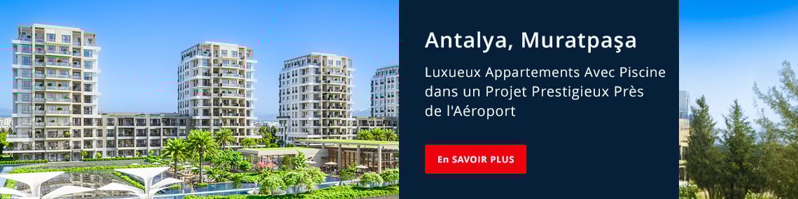 Immobilier