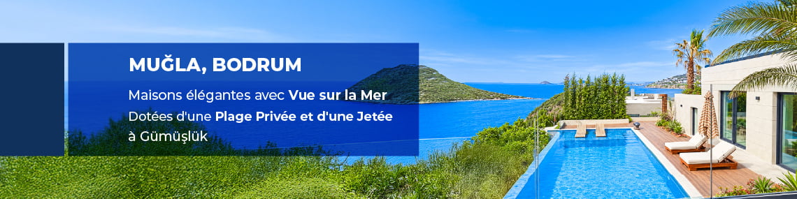 Immobilier