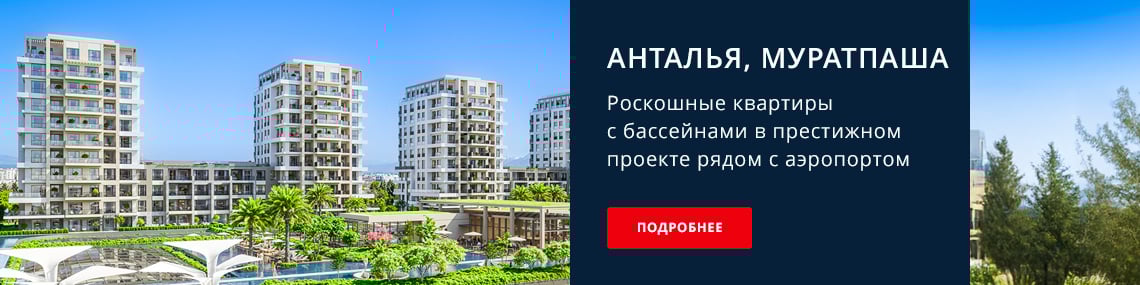 Недвижимость