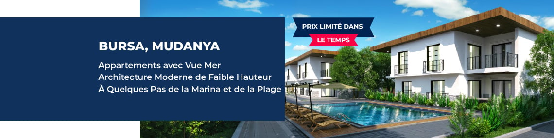 Immobilien
