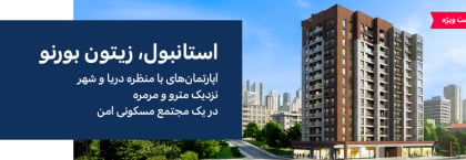 املاک فروشی نزدیک دریا در زیتینبورنو استانبول