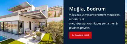 Villas Individuelles Avec Vue Sur La Mer Et Piscine À Bodrum