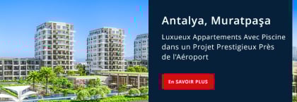 Immobilier