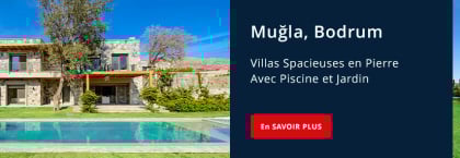 Immobilier