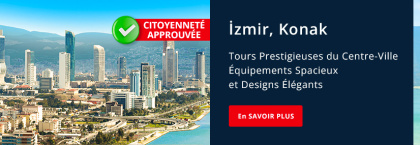 Immobilier