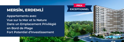 Immobilier