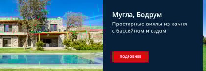 Недвижимость