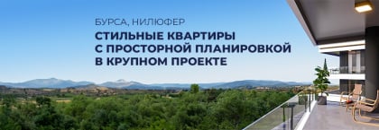 Недвижимость