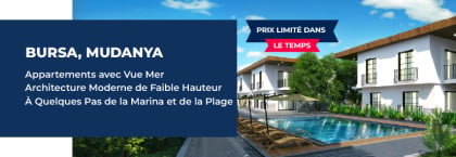 Immobilier