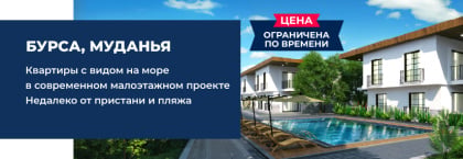 Недвижимость