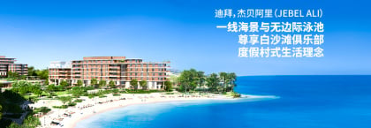 在杰贝阿里棕榈岛(palm Jebel Ali)配有无边游泳池的临海公寓