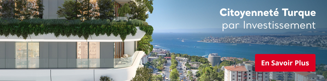 Comment Obtenir La Citoyenneté Turque?