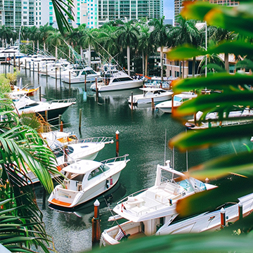 What Does Dubai Offer to Americans?