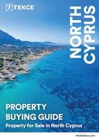Buying Guide