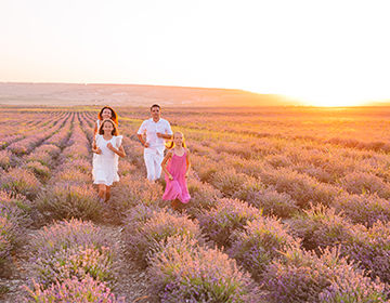 Gezin dat langs een lavendelveld wandelt Gezin dat langs een lavendelveld wandelt
