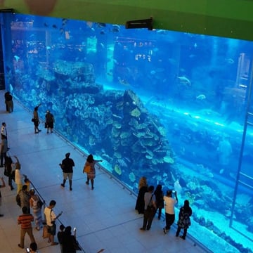 Akwarium w Dubai Mall