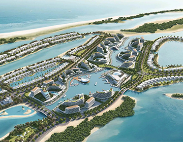 Mangrove Forests in Umm Al Quwain