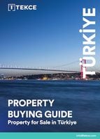 Buying Guide