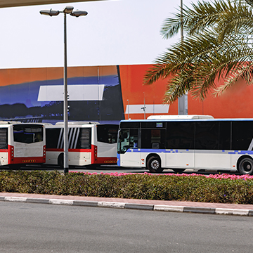 bus bus