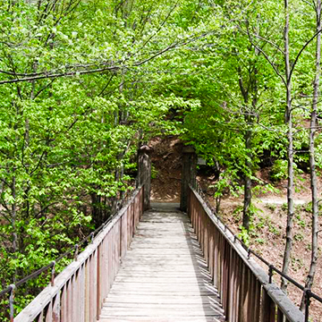 Los-arboreto- y-el-bosque-urbano-de-Yalova