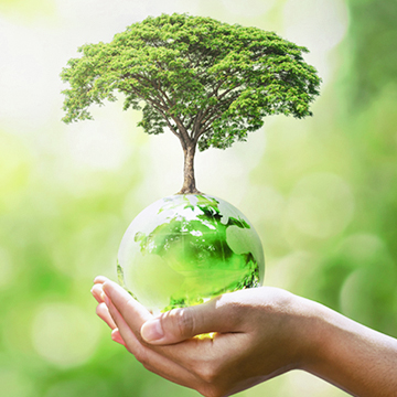 Sustainable Property: What Does It Mean? Sustainable Property: What Does It Mean?