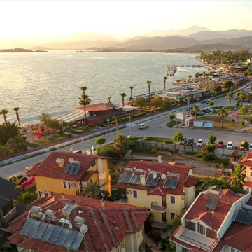 Balanced Life Between Forest and Sea Balanced Life Between Forest and Sea